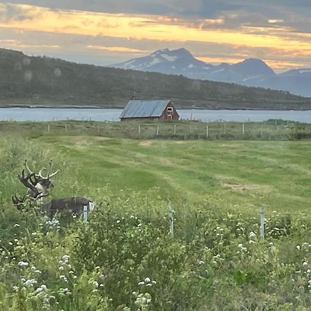 Hos Laura & Valdemar Villa Nord-Lenangen Kültér fotó