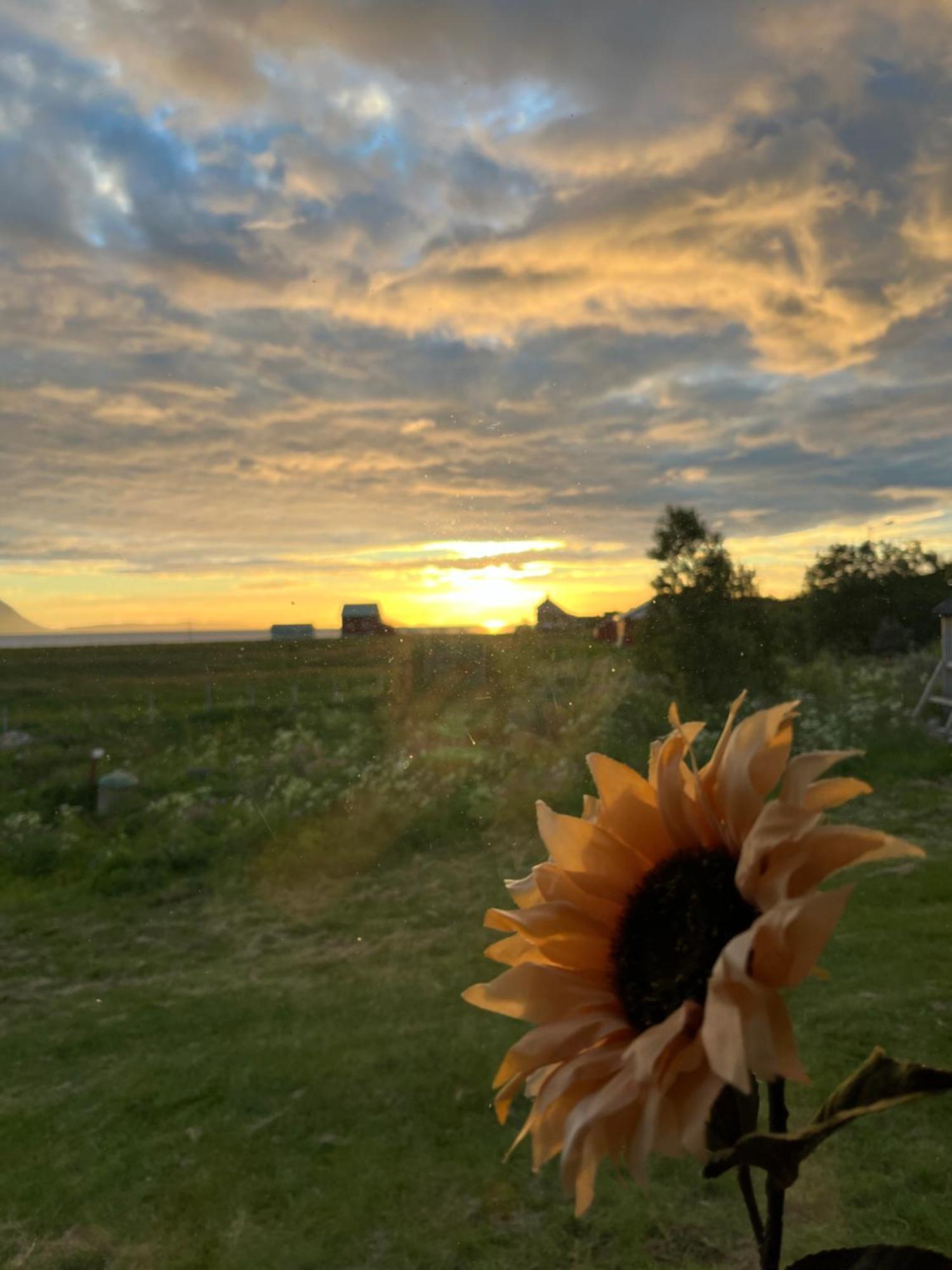 Hos Laura & Valdemar Villa Nord-Lenangen Kültér fotó
