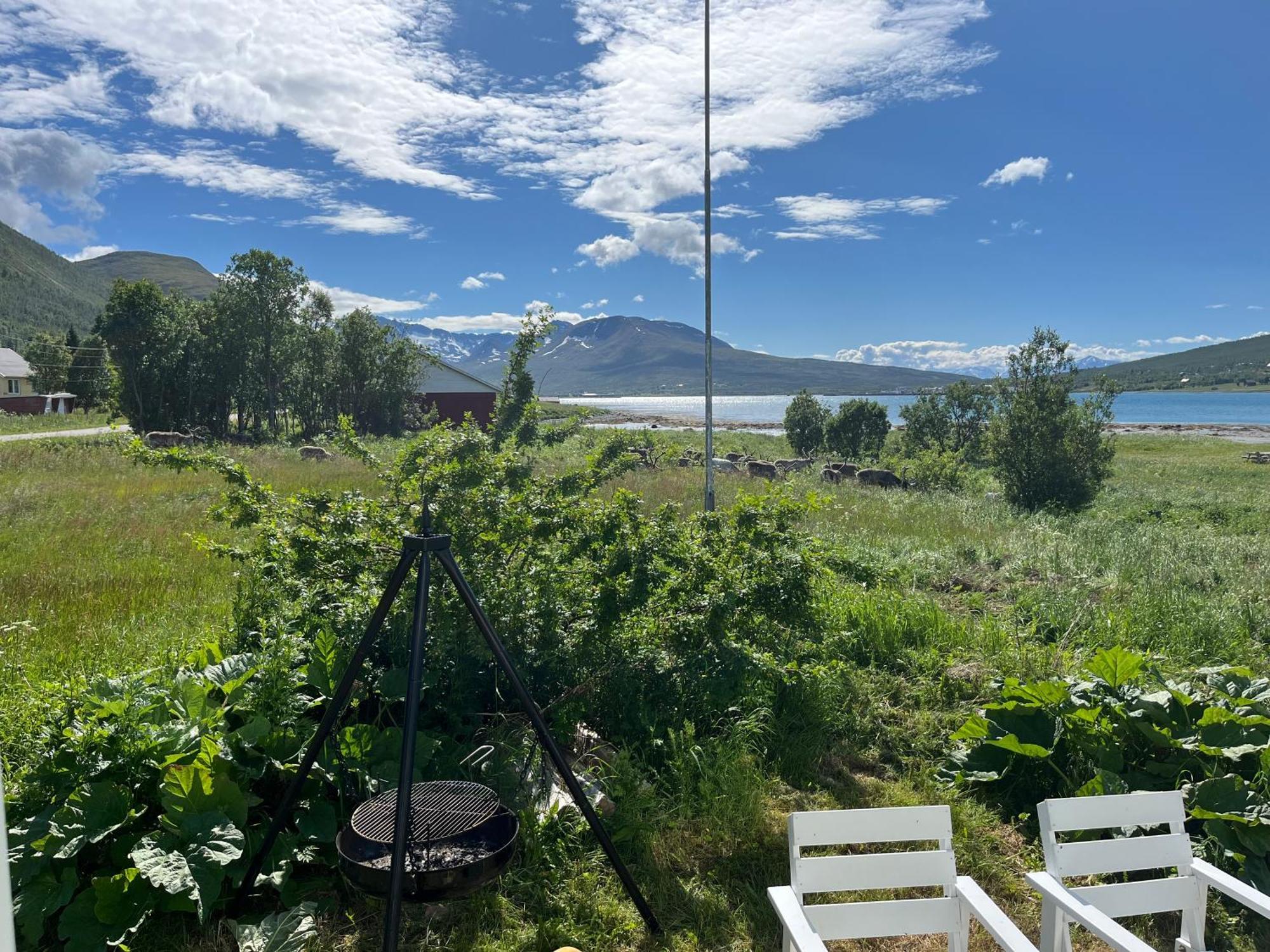 Hos Laura & Valdemar Villa Nord-Lenangen Kültér fotó